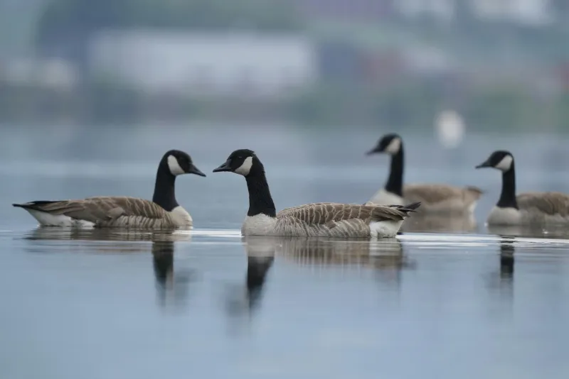 The Loneliness Fix Was Outside All Along: Why 'Green Socialising' Is Transforming British Communities